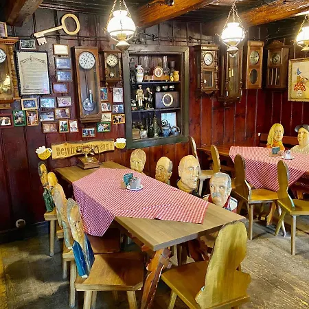 Penzion Rejviz Hotel Rejvíz